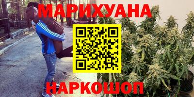 гидропоника Балашиха