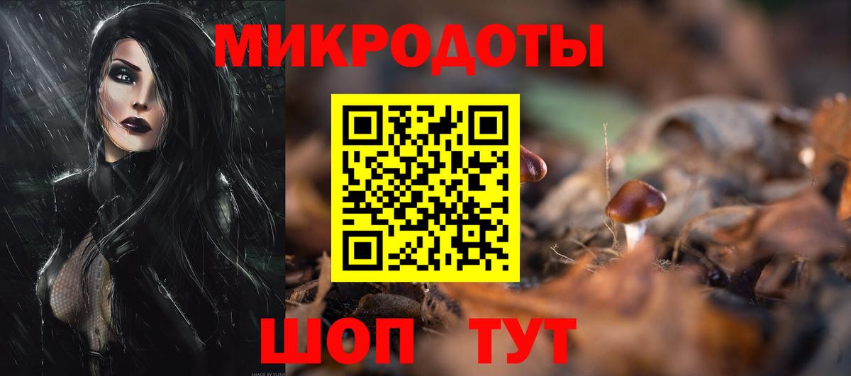 Псилоцибиновые грибы GOLDEN TEACHER Грозный
